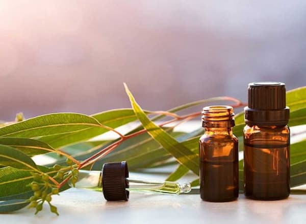 تصویر 1 از خرید اسانس طبیعی رزماری + قیمت فروش استثنایی